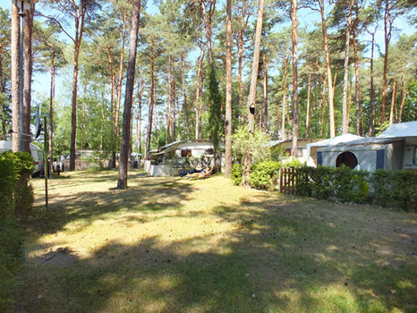 Campingplatz im Sommer