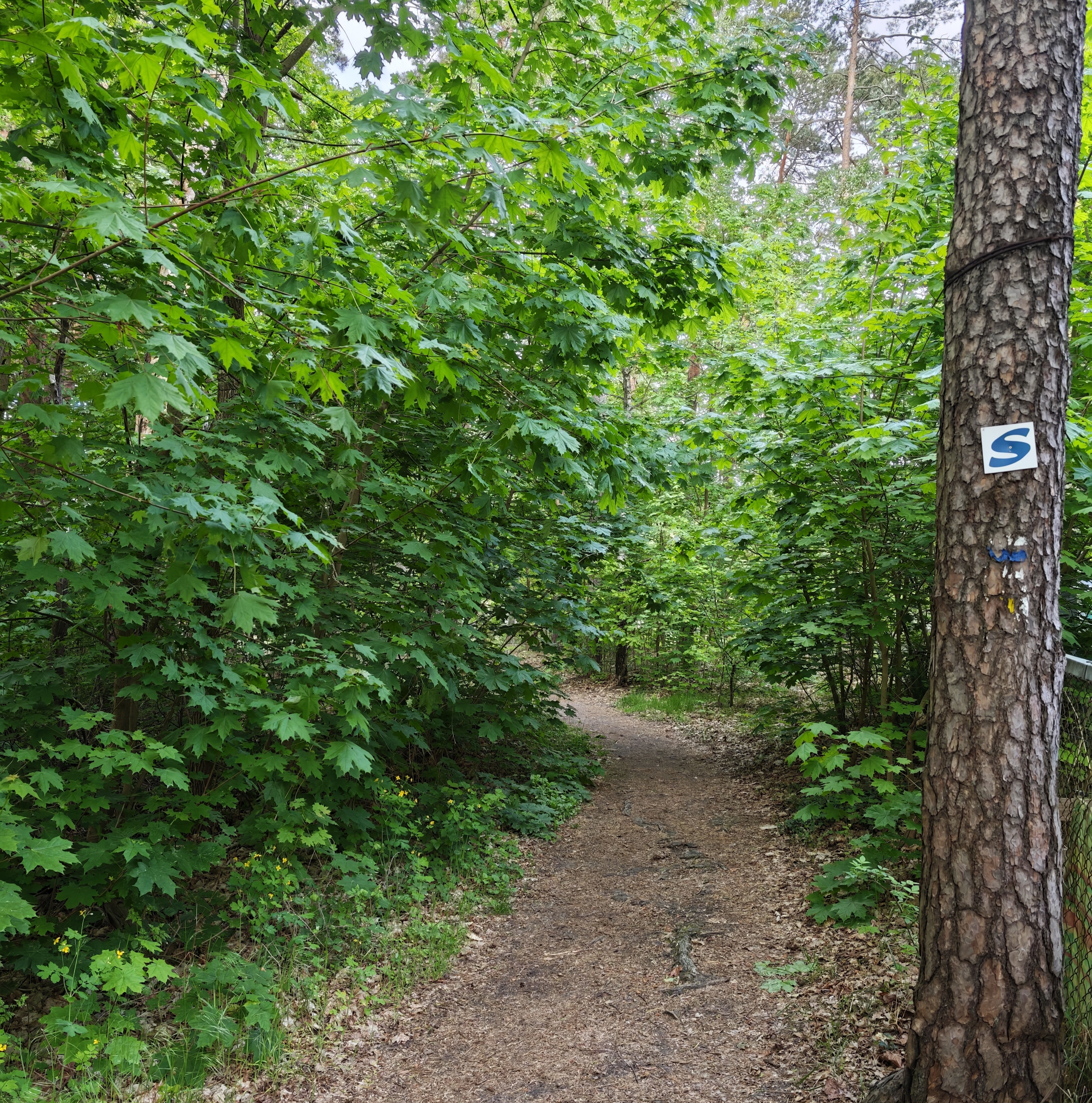 Wandern & Radfahren